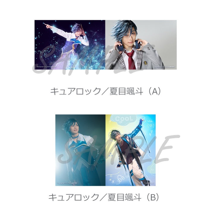 ソロブロマイド（全20種）