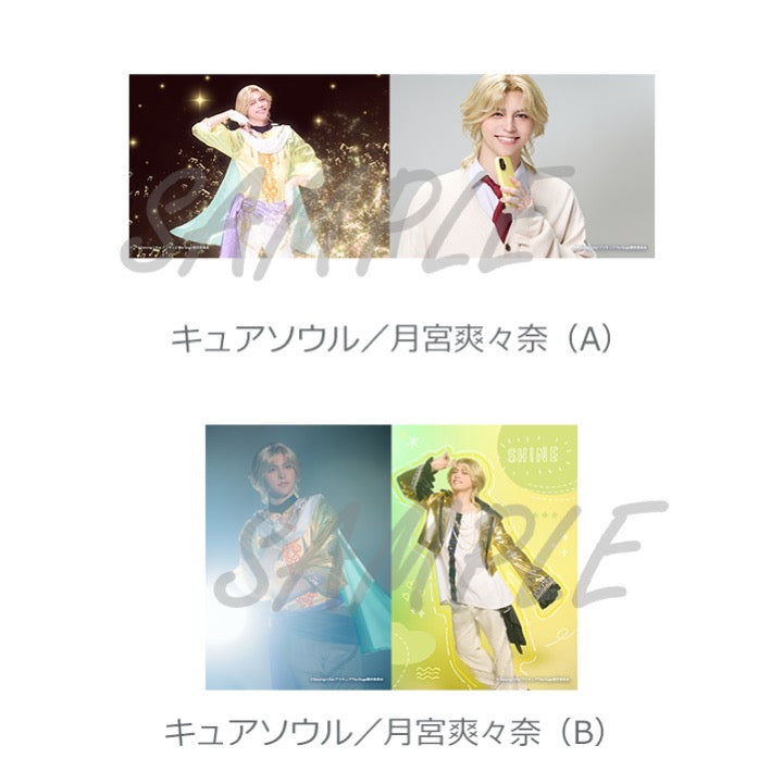 ソロブロマイド（全20種）