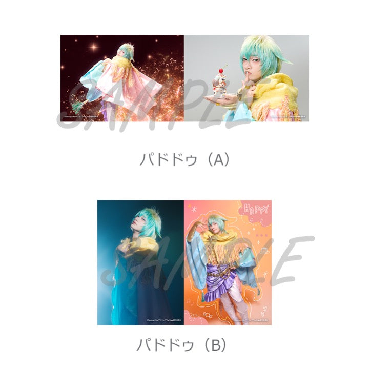 ソロブロマイド（全20種）