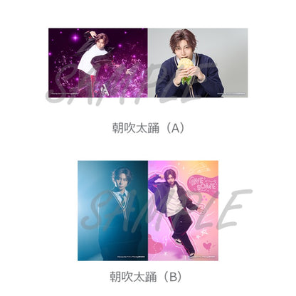 ソロブロマイド（全20種）