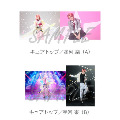 ブロマイドセット（全29種）