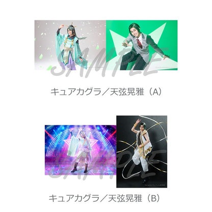 ブロマイドセット（全29種）