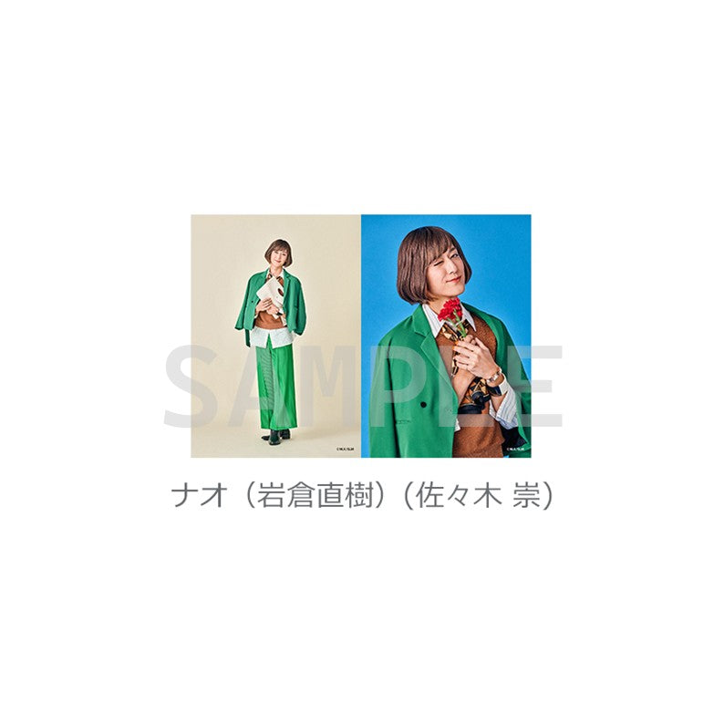 ソロブロマイド（全13種）